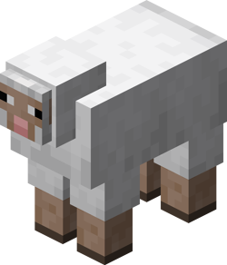گوسفند ماینکرفت - Minecraft's sheep